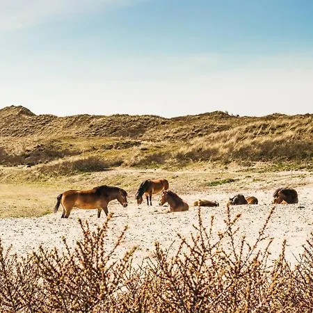 Vakantiewoning 't Juttershuis Egmond aan Zee