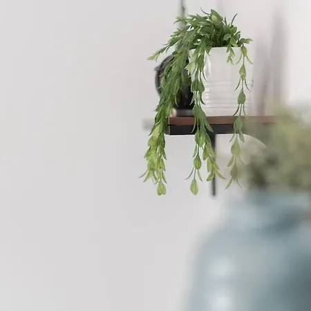 Vakantiewoning 't Juttershuis *