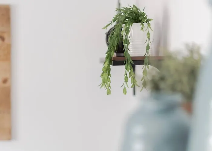 Vakantiewoning 't Juttershuis *